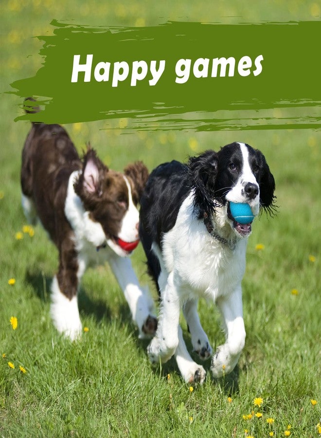 Yunsailing Pack of 20 Tennis Balls for Dogs 2.5 Inch PET Dog Ball for Large, Medium and Small Dogs Colored Interactive Puppy Tennis Doggy Toy with Bag Training Play Exercise, 5 Colors - Image 4